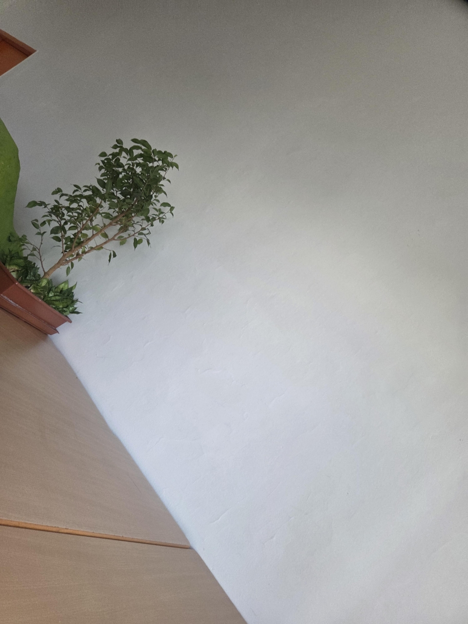 20251017_123438.jpg